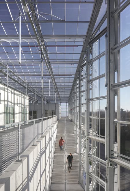 Rooftop Greenhouse Agrotopia